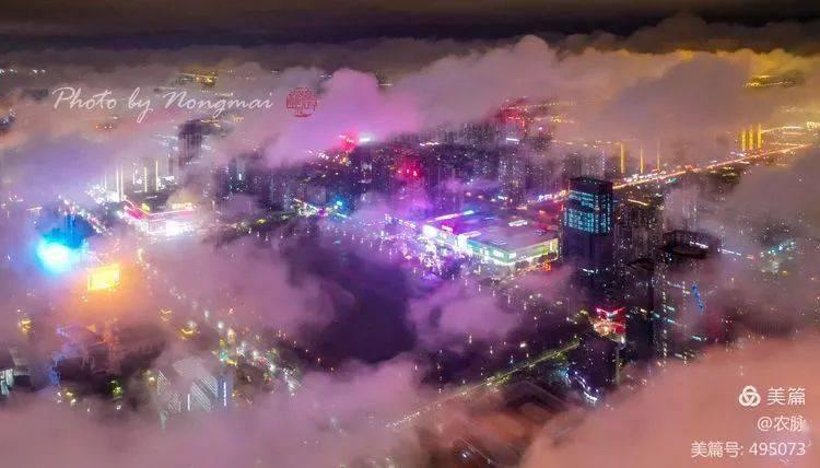 汤姆猫跑酷下载最新版游戏画面