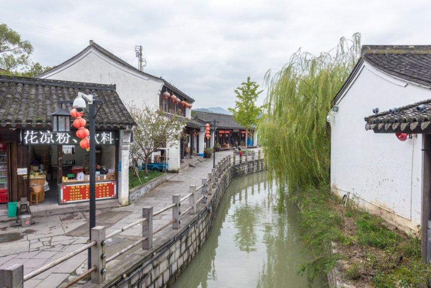 逃离大犀牛出没地